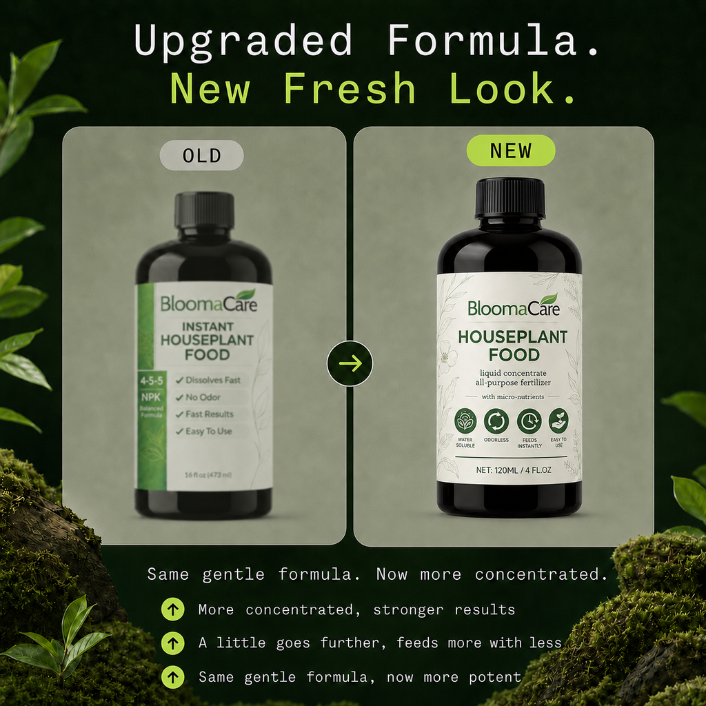 BloomCare
