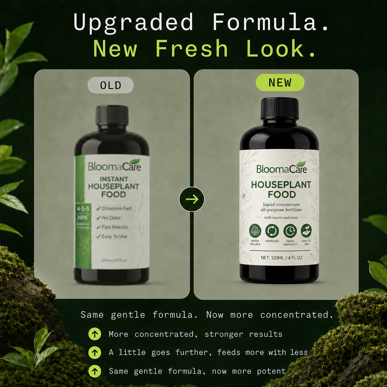 BloomCare