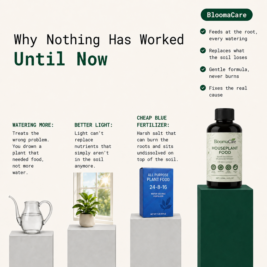 BloomCare