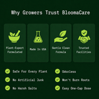 BloomCare